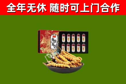 台湾回收冬虫夏草价格